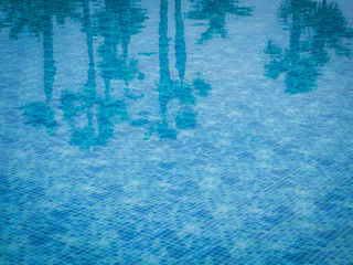 Reflection of few palmtrees