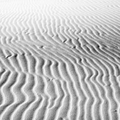 beautiful view of the coastal dunes