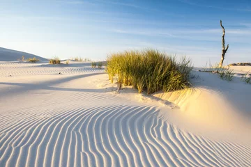  beautiful view of the coastal dunes © masar1920