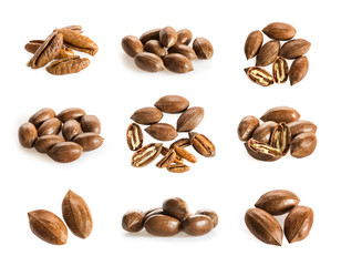 Collection of pecan nuts