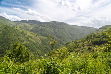 Natural Landscape View