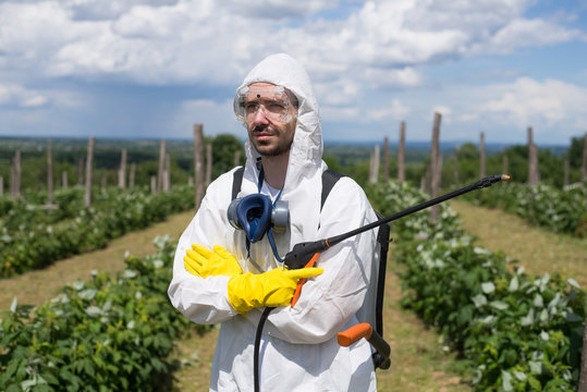 Man spraying chemicals on his raspberry field,colored and under exposed photo