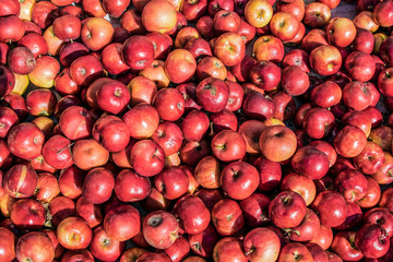 Red apples