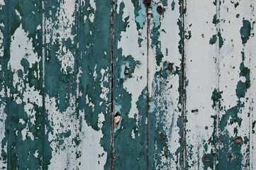 Peeling paint white and green color on old wood wall