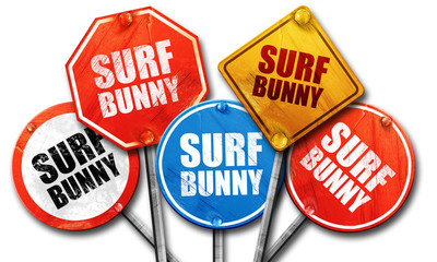 surf bunny, 3D rendering, street signs
