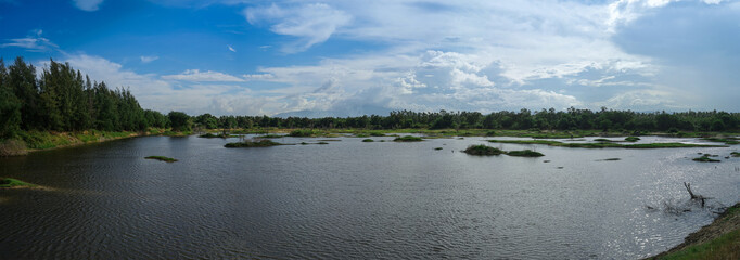 Panorama view of a lake and tall pines tree with a big mountain, colourful picture style