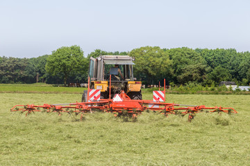 Fototapeta premium Hay turning to dry grass in the sun on the field in the Netherla