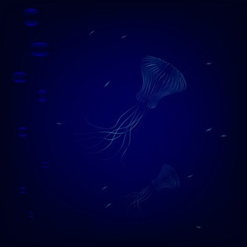 Transparent jellyfishes swim in deep underwater. dangerous jellyfishes hunted for little fishes