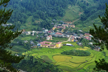 Fototapeta na wymiar Rice terrace in northeast region of Vietnam