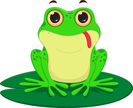 cute Frog cartoon