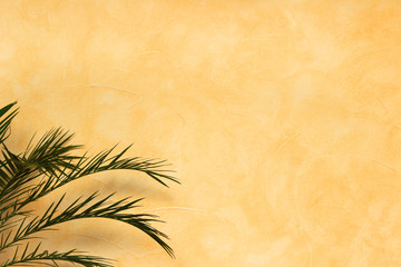 Hintergrund mediterran orange terrakotta Palmenblätter