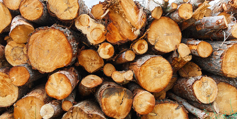 Wooden logs background