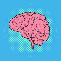 Vector hand drawn pop art illustration of brain. Retro style