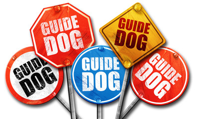 guide dog, 3D rendering, street signs