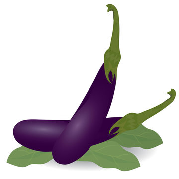 eggplant on paper background vector design