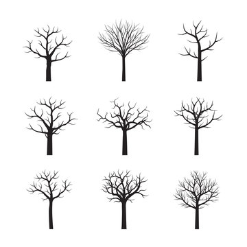Set of black vector trees. Vector Illustration.