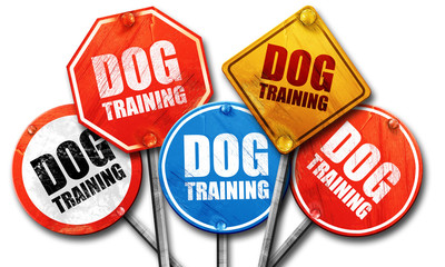 dog training, 3D rendering, street signs