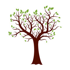 Obraz premium Shape of Tree, and Green Leafs. Vector Illustration.