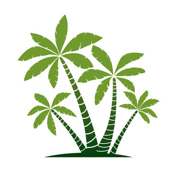 Palm vector trees illustration on white background