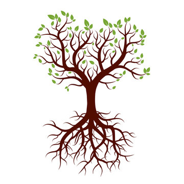 Shape of Tree, Roots and Green Leafs. Vector Illustration.