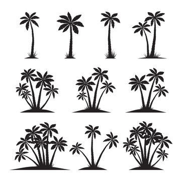 Set of Black Palm Trees. Vector illustration on white background