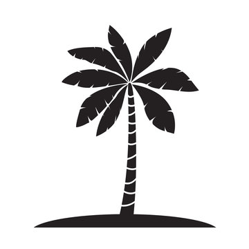 Palm trees silhouettes vector illustration isolated on white bac