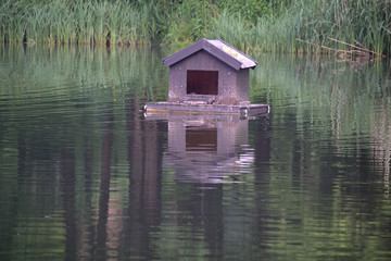 Dom dla ptaków na wodzie