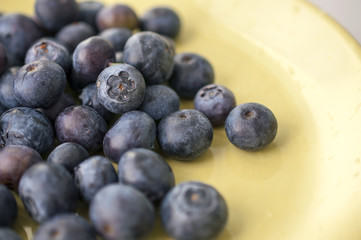 Fresh Bilberries. Close-up background. Macro.