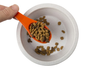 Scooping Dry Cat Food