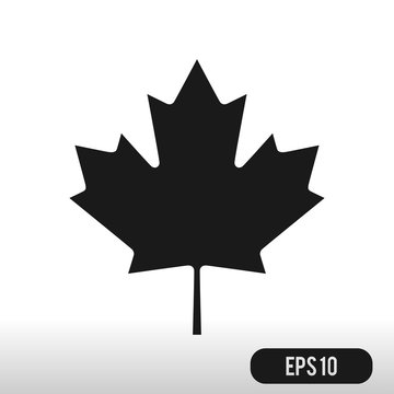 Canadian Leaf Icon  Isolated on White Background. Black silhouet