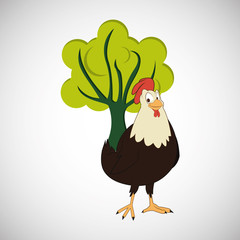 Animal design. rooster icon. Isolated illustration, white backgr