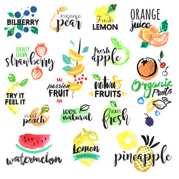 Set of hand drawn watercolor labels and stickers of fruit. Vector illustrations for graphic and web design, for food and drink, restaurant and bar, menu, fruit market, organic fruits.