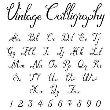 Vintage Calligraphic Script Font vector letters numbers Symbols
