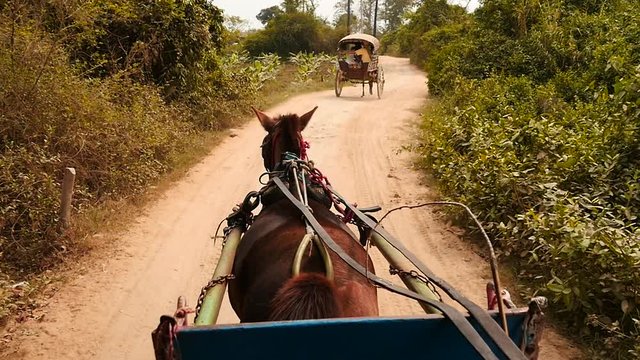 View from running horse cart in Myanmar slow motion 2