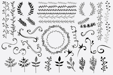 Hand Drawn Floral Design Elements
