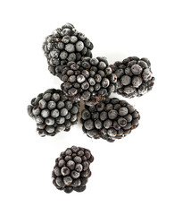 frozen blackberries isolated on white