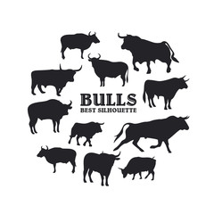 Bull silhouette on the white background