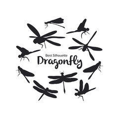 illustration with teen dragonfly silhouette isolated on white