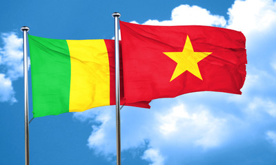 Mali flag with Vietnam flag, 3D rendering