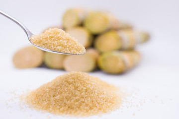 Close up brown Sugar in spoon  on sugarcane blur background