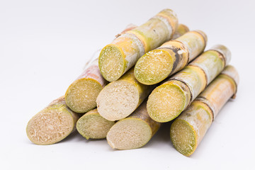 Close up sugarcane on white  background
