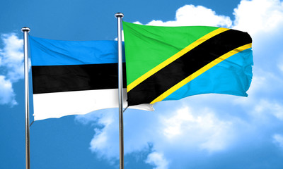 estonia flag with Tanzania flag, 3D rendering