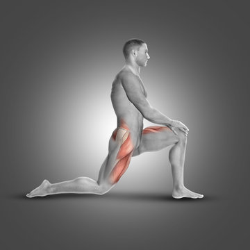 3D male figure in kneeling iliopsoas stretch