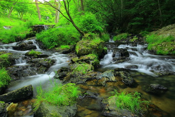 Obraz premium Wodospad Koguro