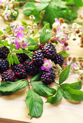 flowering branches of blackberries on table