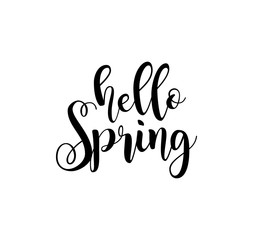 Fototapeta na wymiar Hello Spring. Beautiful greeting card poster with calligraphy black text word. Hand drawn design elements. Handwritten modern brush lettering on a white background isolated. Vector illustration EPS 10