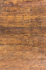 Wooden door of the Pavia's Cathedral