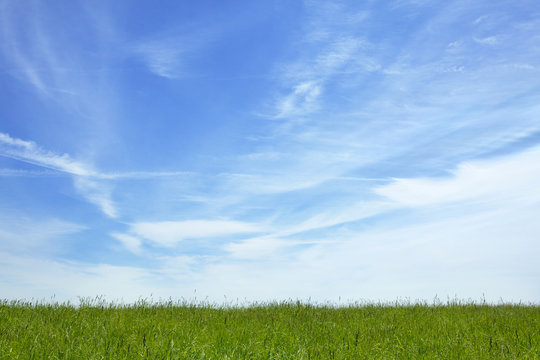 Fototapeta Blue sky over grassy meadow