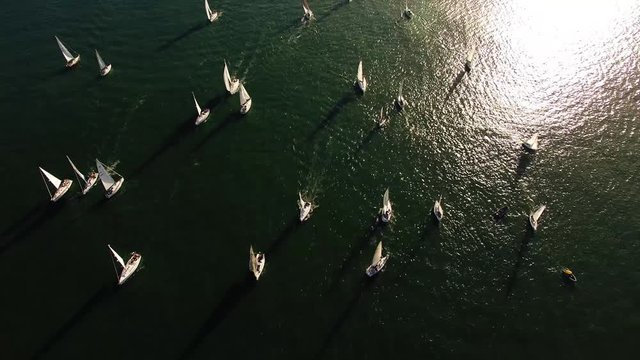Yachts at regatta in the river Tagus Lisbon at sunset