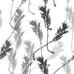 Black flowers on white background. Seamless pattern. Vector